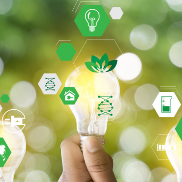 Green Marketing e Sostenibilità per le PMI: un’opportunità per crescere e fare la differenza